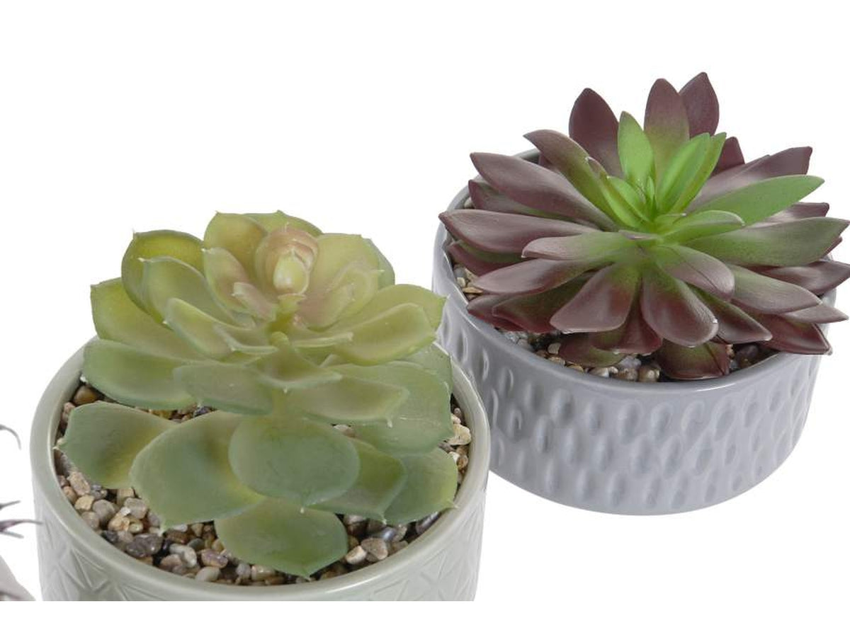 Pianta porc.pvc 11,5x11,5x18 ja-182897 $