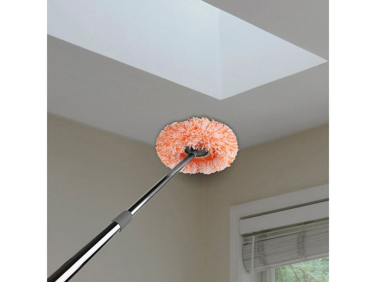 Puliscipavimento girasole