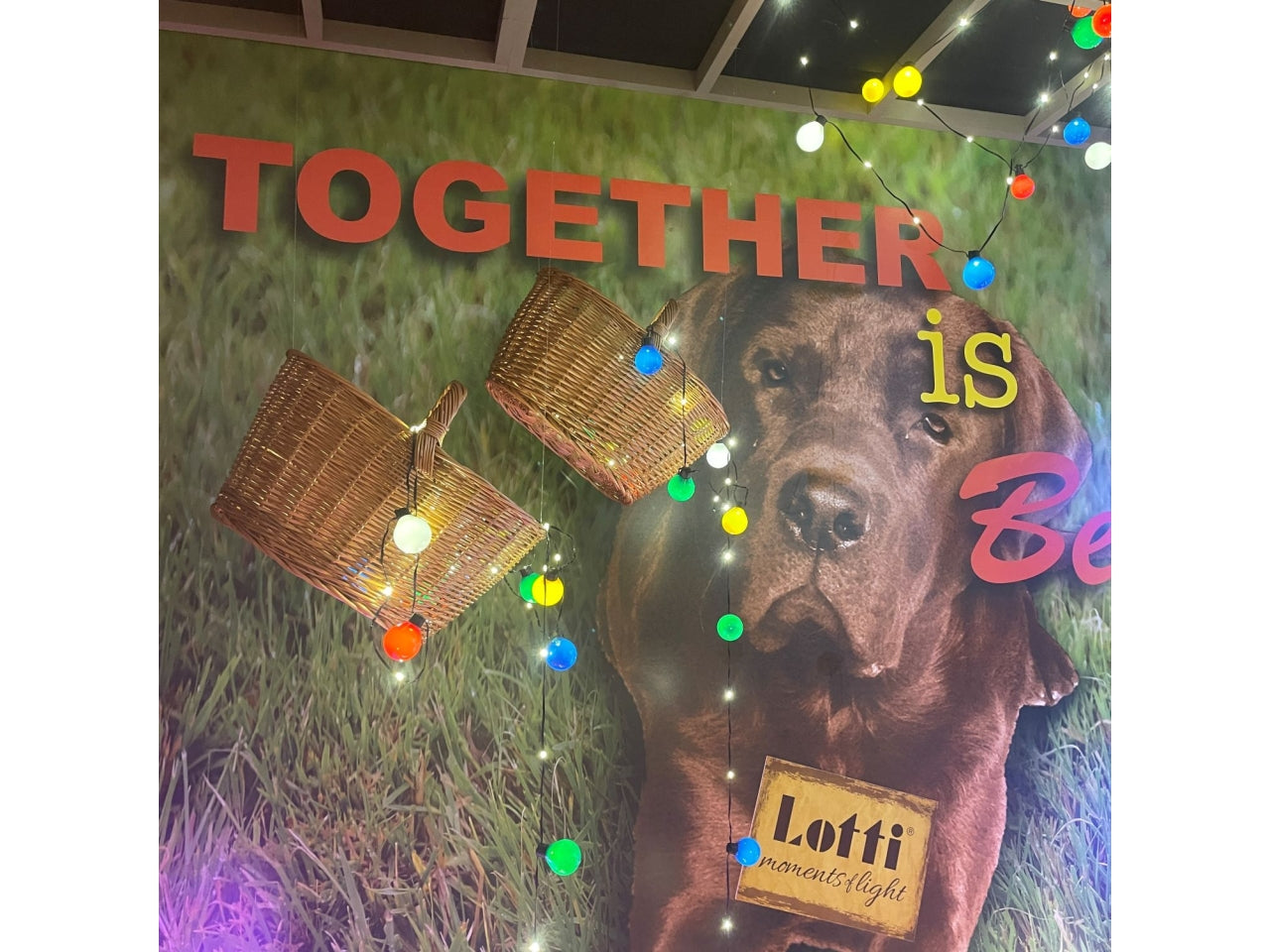 Catena luminosa solare 10 m da 25 lampadine multicolor 75528 - Lotti