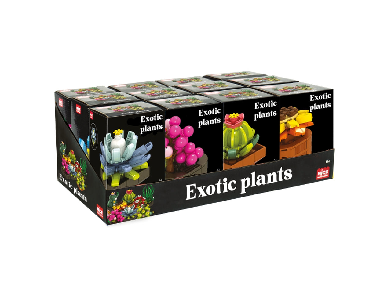 Mattoncini exotic plants