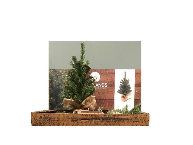 Albero di natale mini imperiale per uso interno colore verde misura alt.45cm
d.26cm