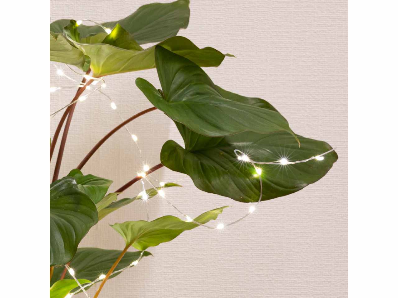 Catena luci 40 micro led 40cmbianco caldo con funzionamento a batteria uso esterno bianco caldo $