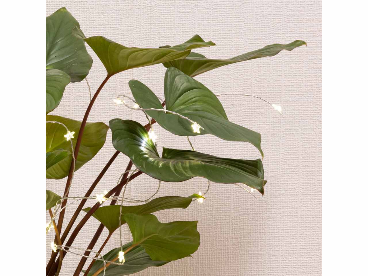 Catena luci 40 micro led 40cm bianco caldo con funzionamento a batteria uso esterno $