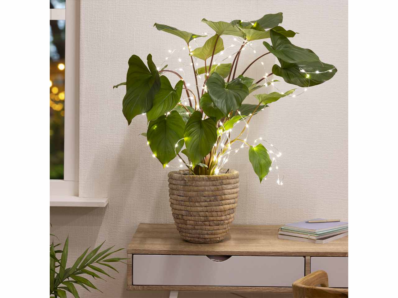 Catena luci 60 micro led 80cmbianco caldo con funzionamento a batteria uso esterno bianco caldo $