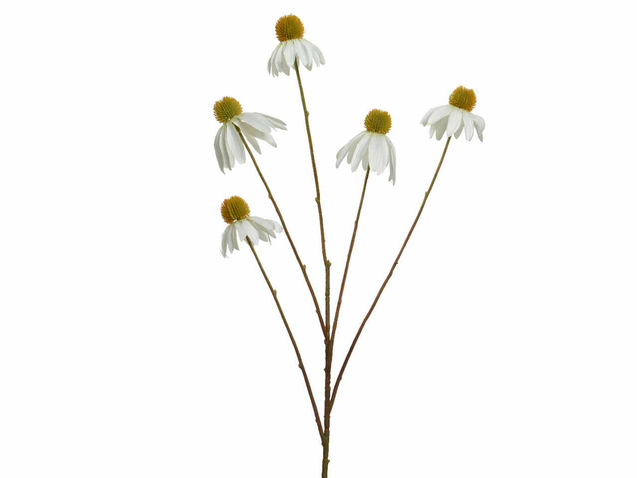 Fiore di echinacea h.92cm bianco