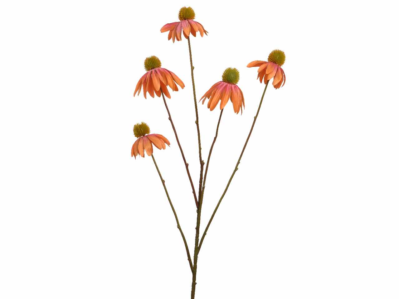 Fiore di echinacea h.92cm pesca