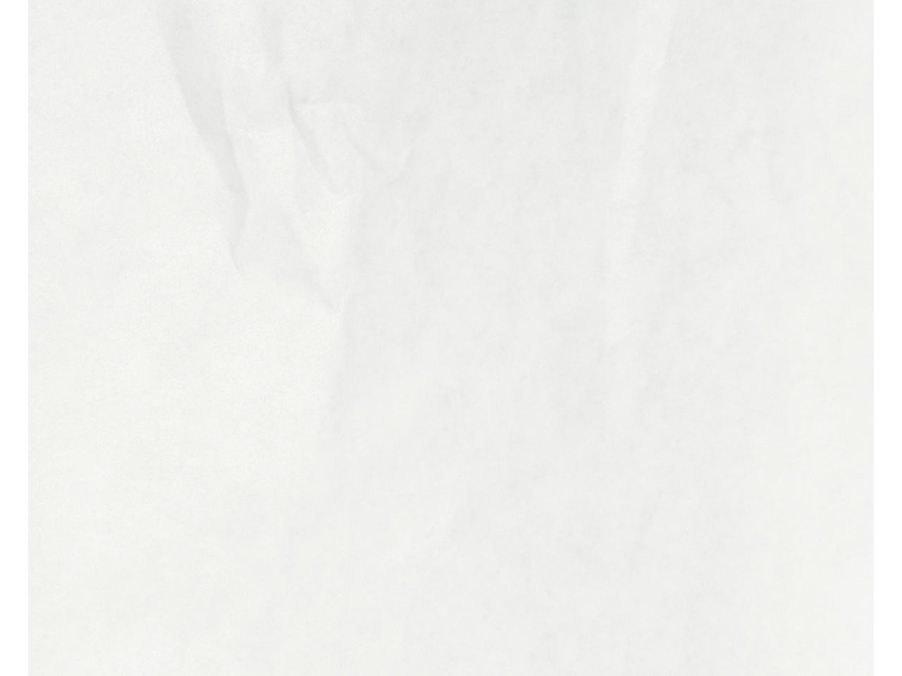 Buste carta kraft bianca 12x22+4cm - la confezione contiene 100 buste