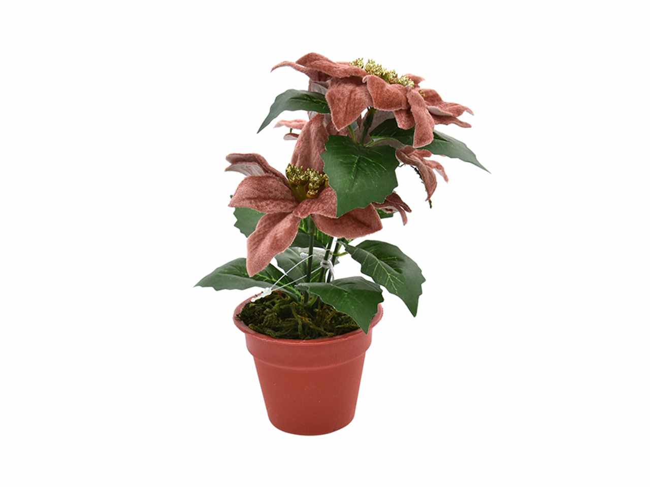 Stella natale con vaso rosa