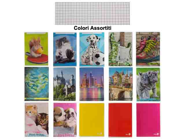 Quaderno maxi rigatura 4m 80gr - assortiti - la confezione comprende 10 pezzi quaderni $