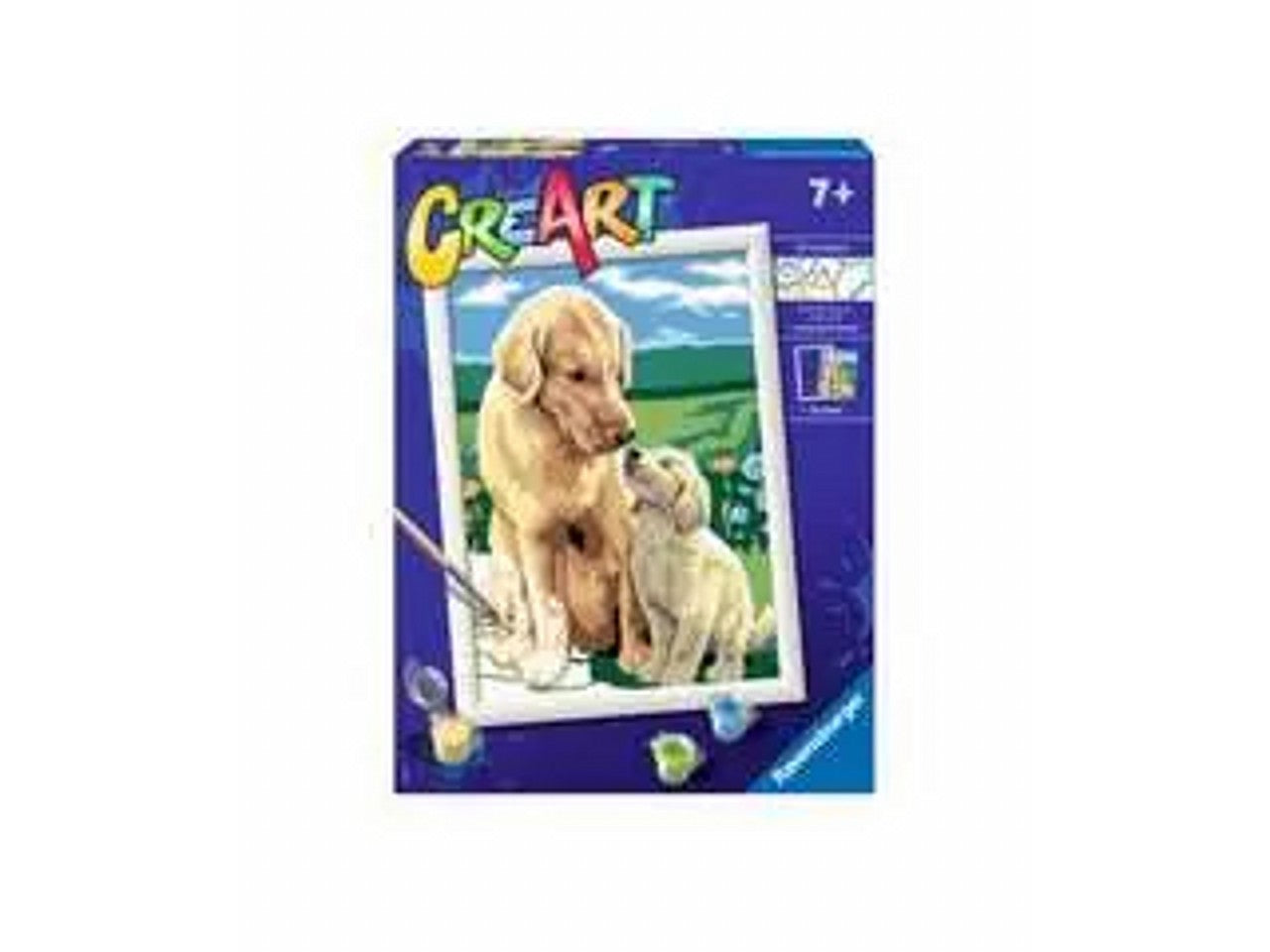 Creart  retriever sul prato 20048 1