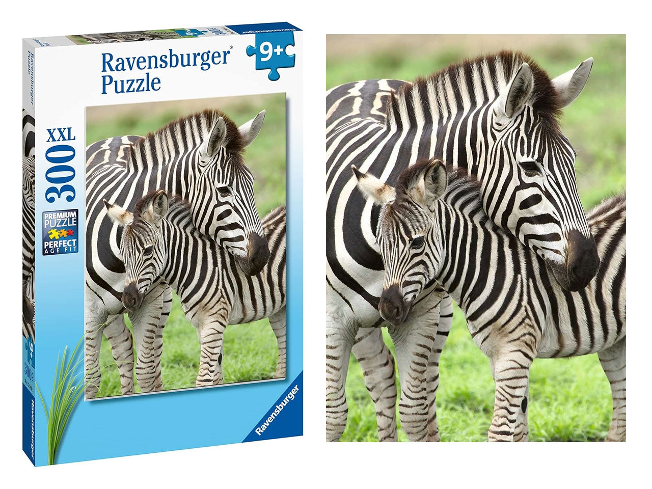 Puzzle, Amore di Zebra, 300 Pezzi XXL, Puzzle per Bambini, EtÃ  Raccomandata 9+ - Ravensburger