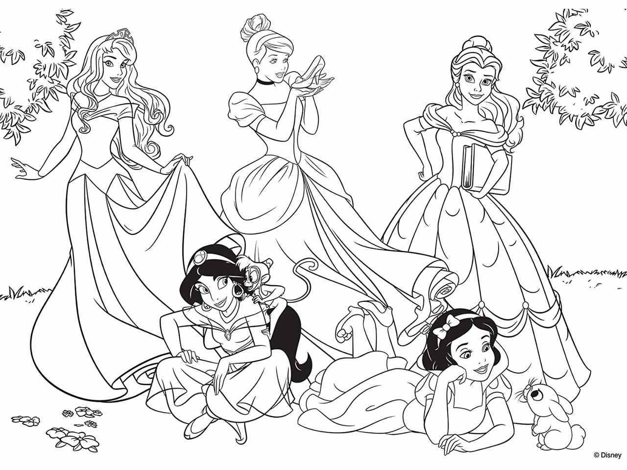 Puzzle df plus 60 princess