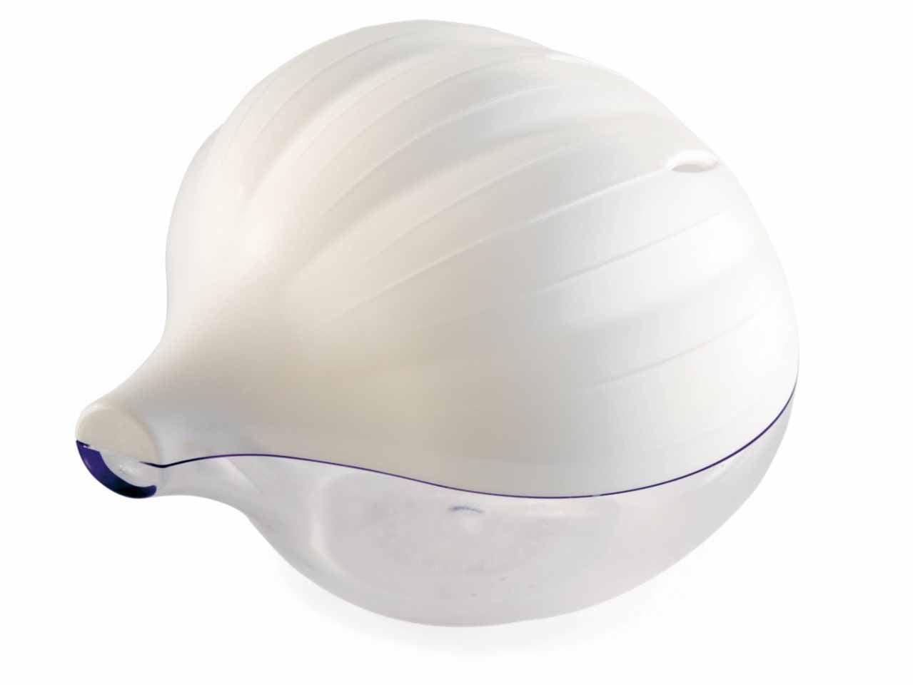 Salvaglio scatola 021325