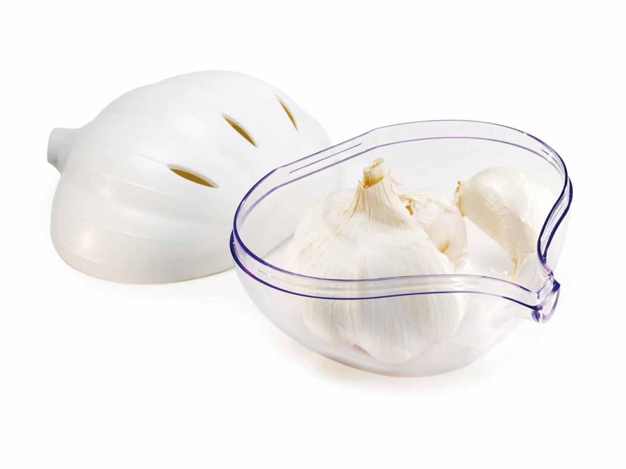 Salvaglio scatola 021325