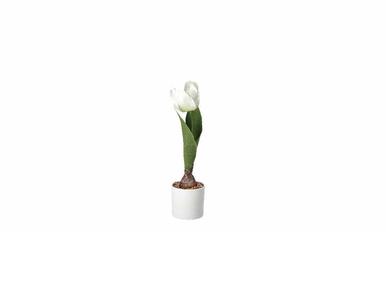 Vaso c/tulipani d7xh25cm 74874