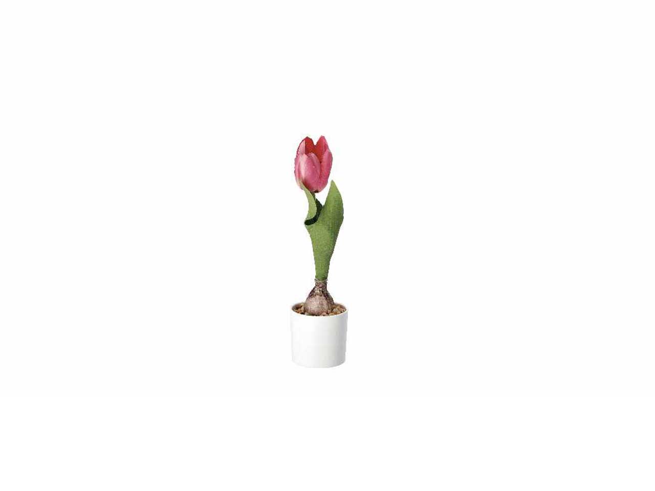 Vaso c/tulipani d7xh25cm 74874