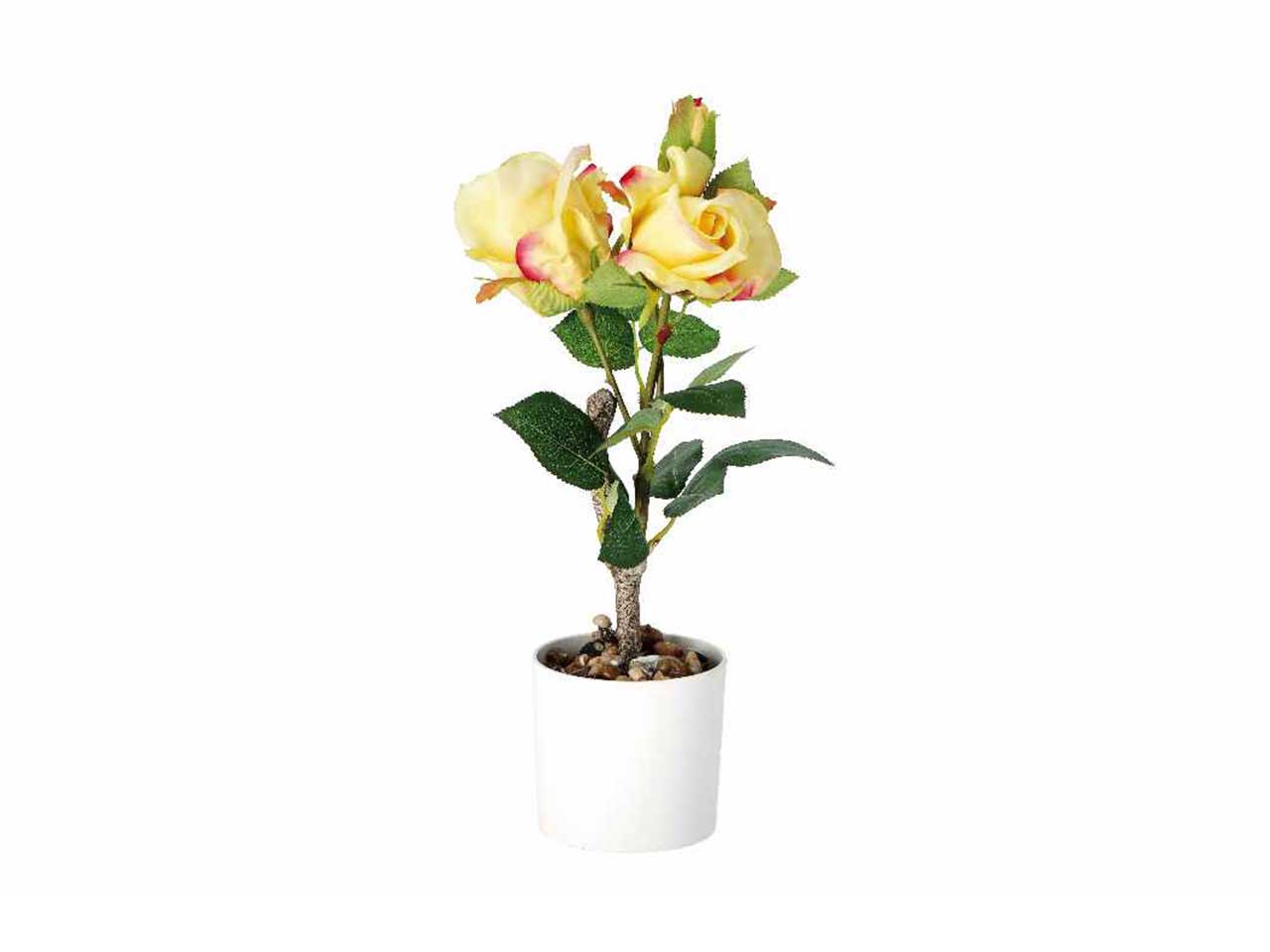 Vaso c/rose d.10xh38cm 74883