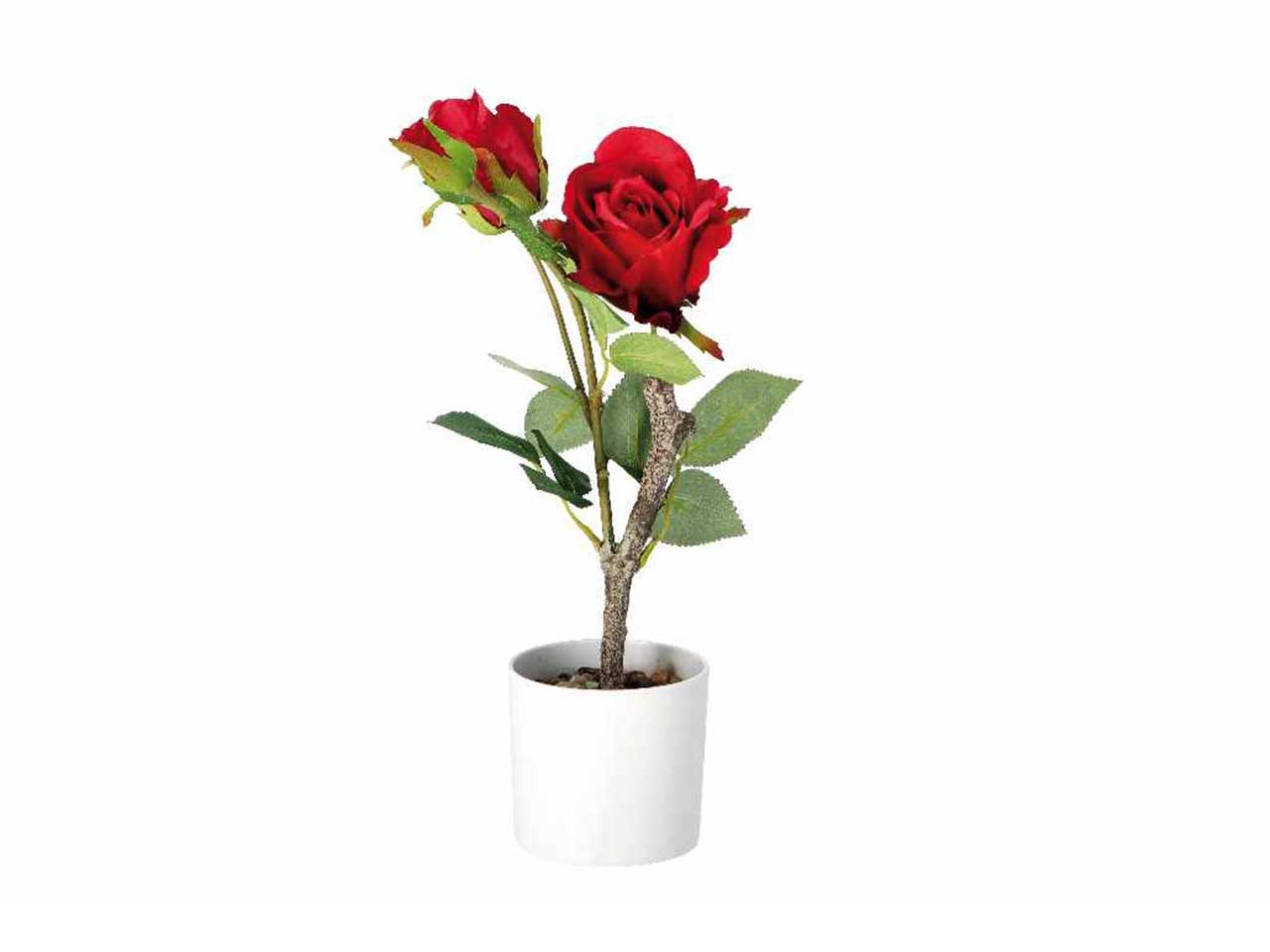 Vaso c/rose d.10xh38cm 74883