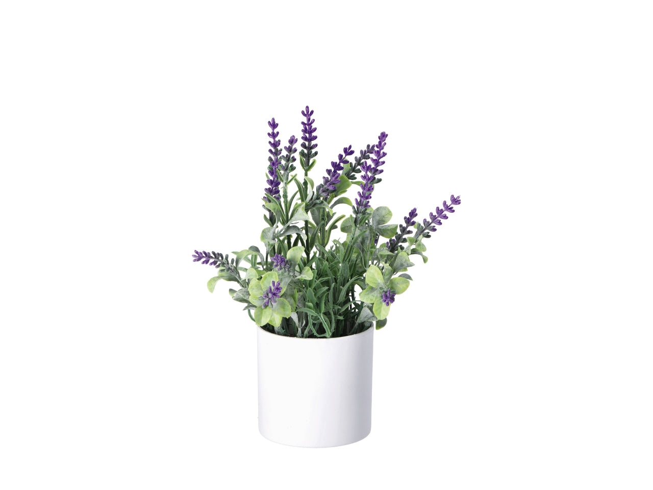 Vaso con lavanda d.8xh.25cm in 3 colori assortiti