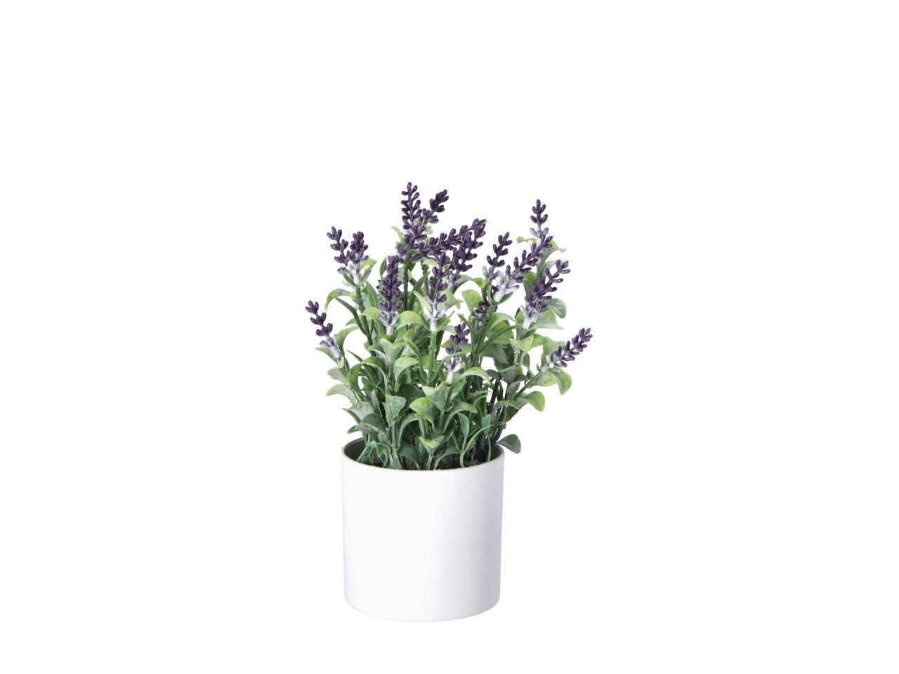 Vaso con lavanda d.8xh.25cm in 3 colori assortiti