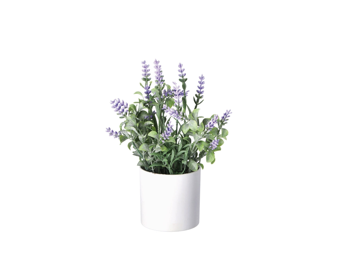Vaso con lavanda d.8xh.25cm in 3 colori assortiti