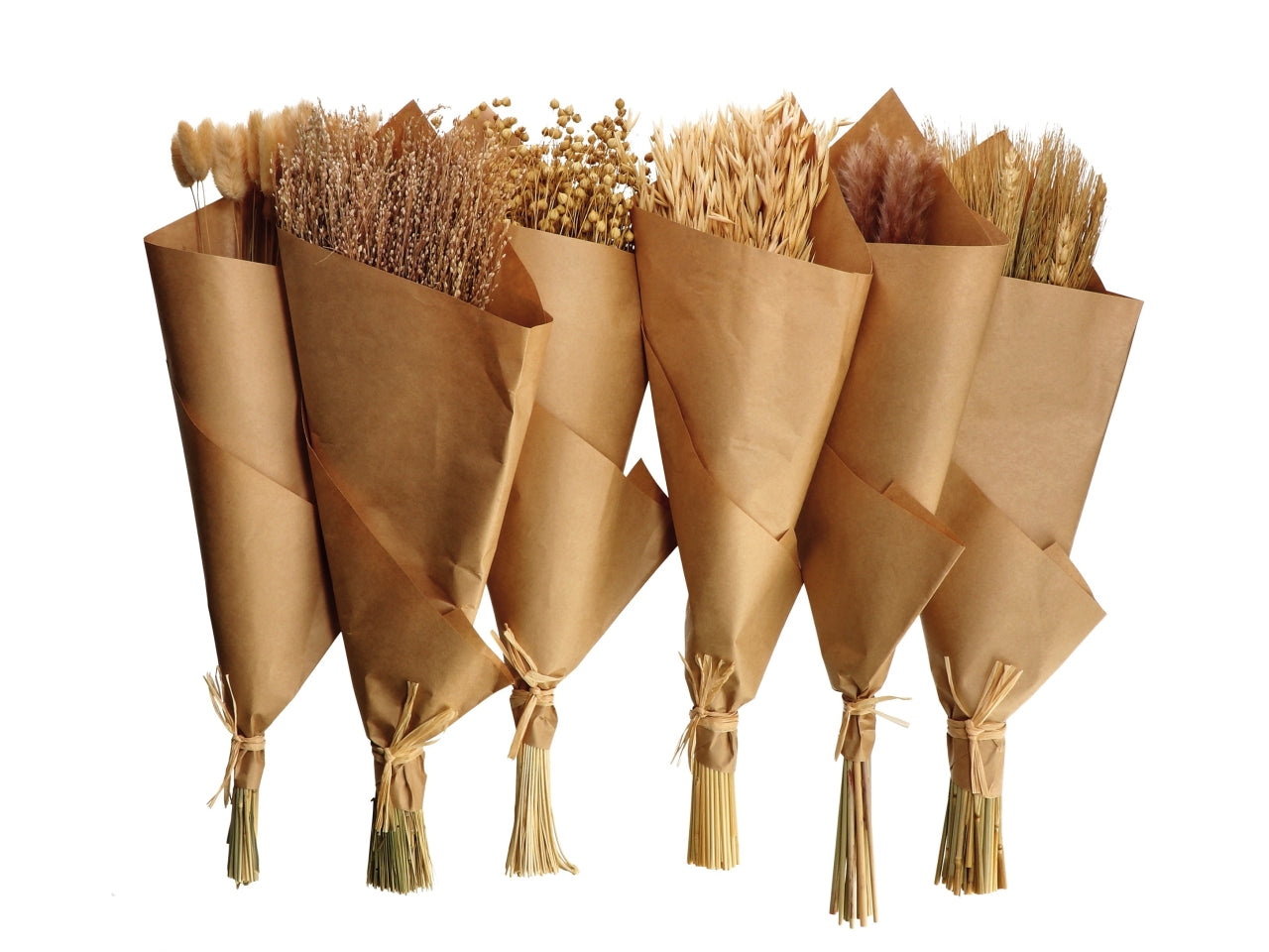 Bouquet di fiori essiccati 50cm in 6 modelli assortiti