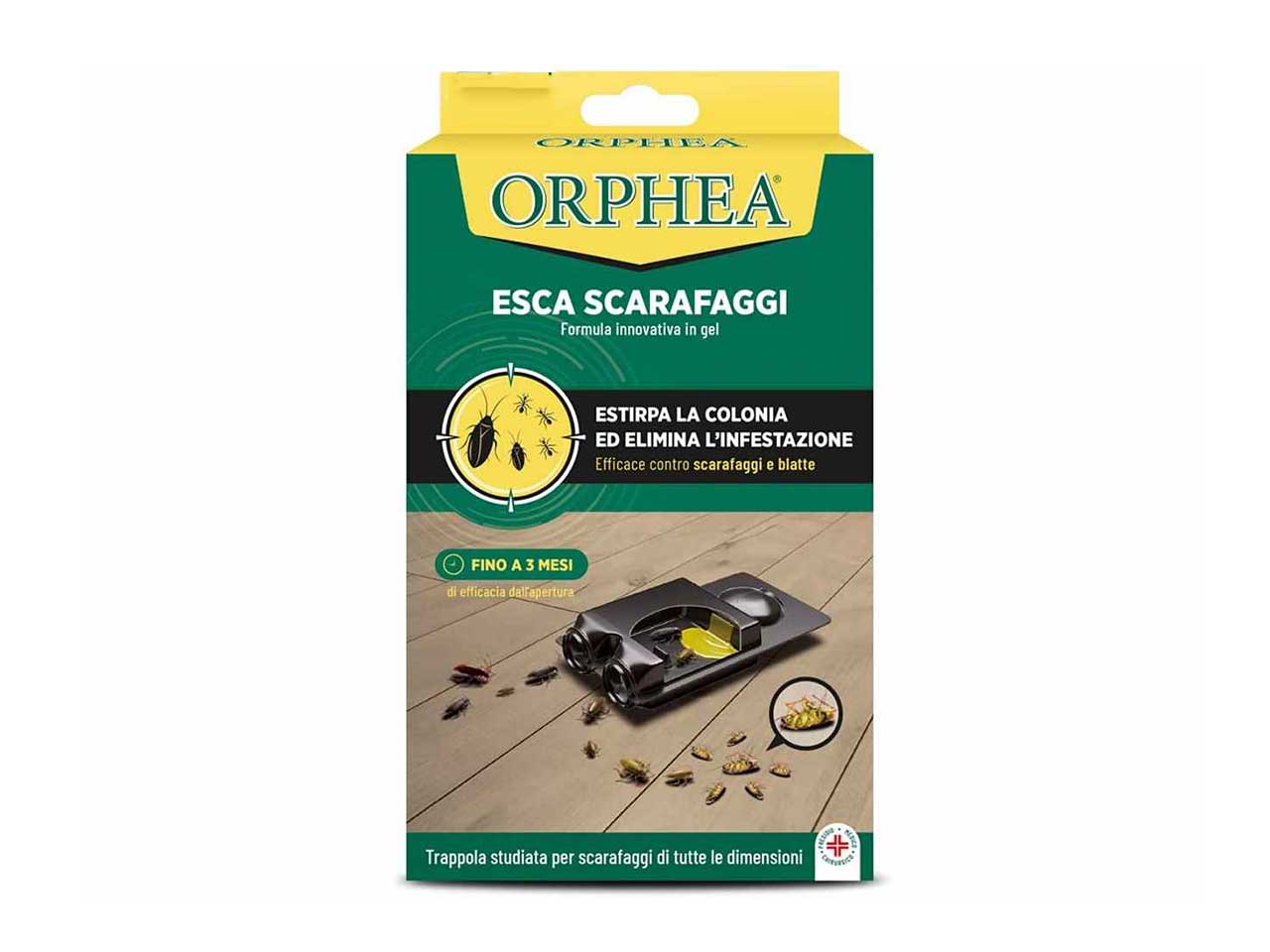 Orphea esca scarafaggi 3 pezzi 18819
