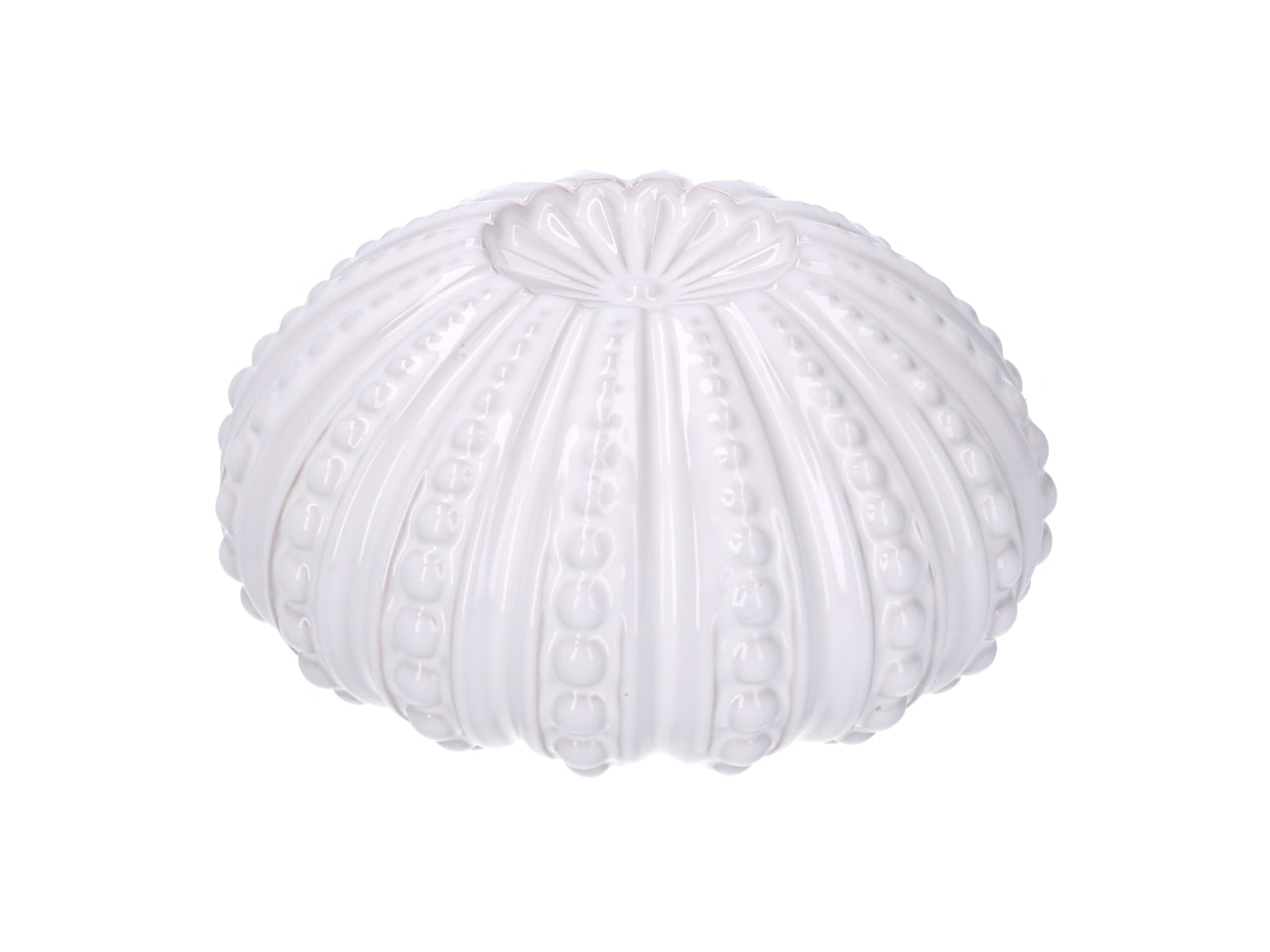 Riccio di mare ceramica bianco tondo d.18,1xh9,3cm