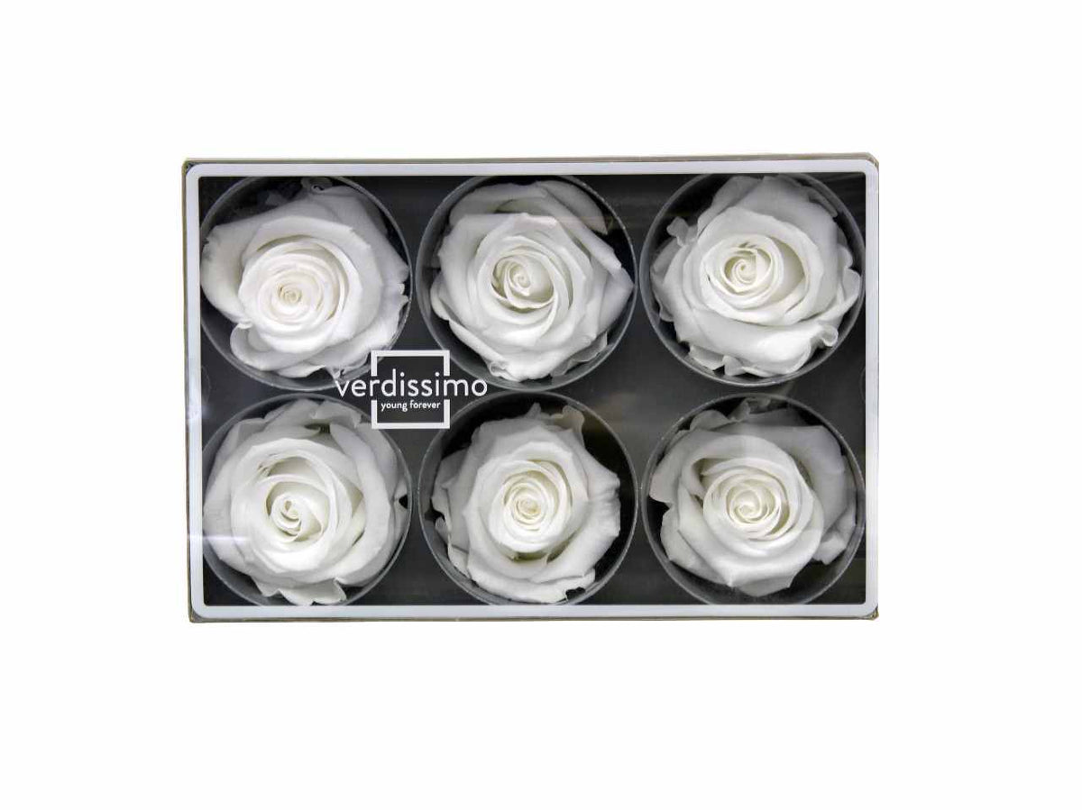 Rosa stabilizzata colore bianco misura d.5,5cm - La confezione comprende 6 rose