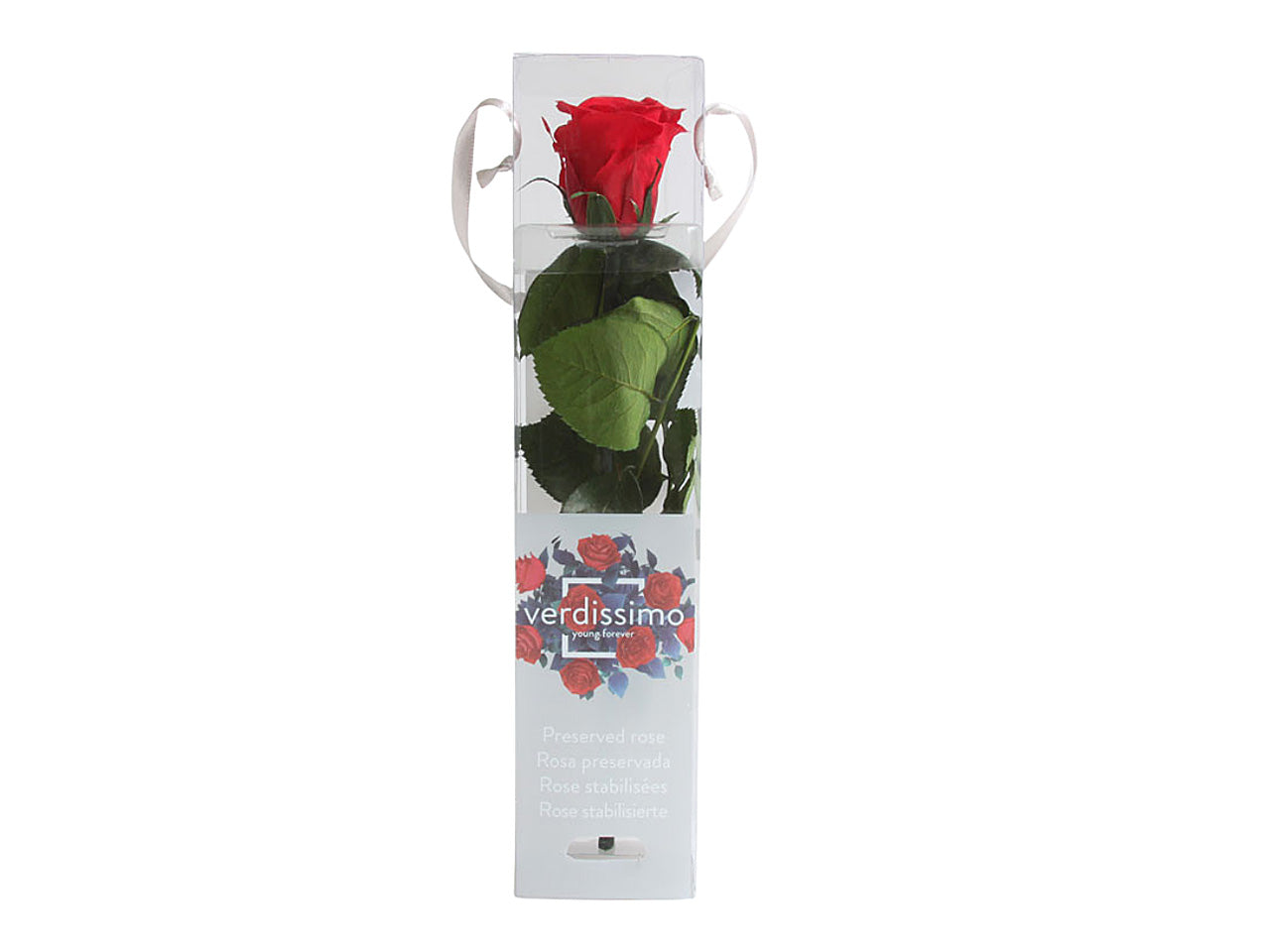 Rosa stabilizzata rossa mini c/gambo prz/2200