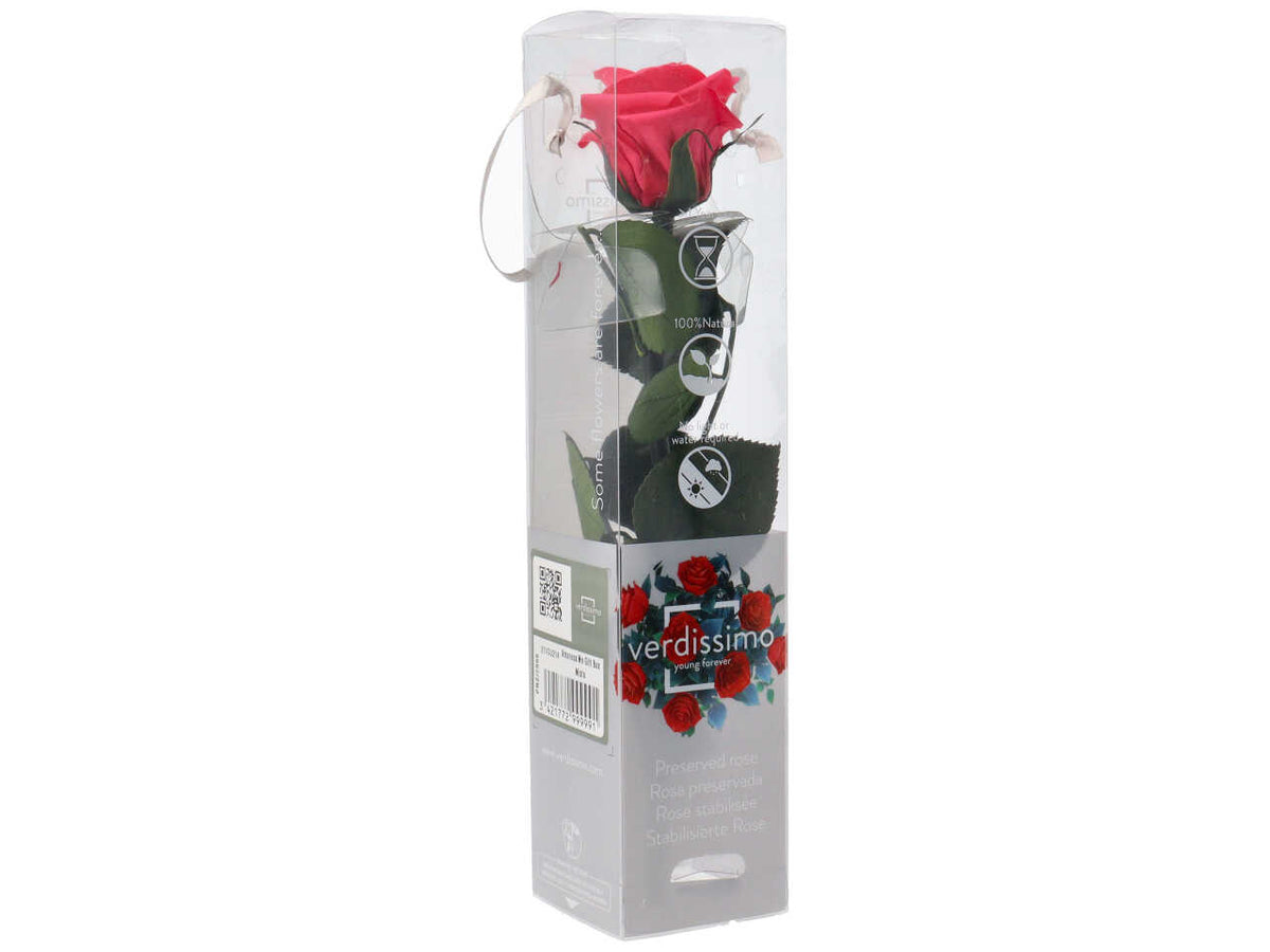 Rosa stabilizzata ass.mini c/gambo prz/2999