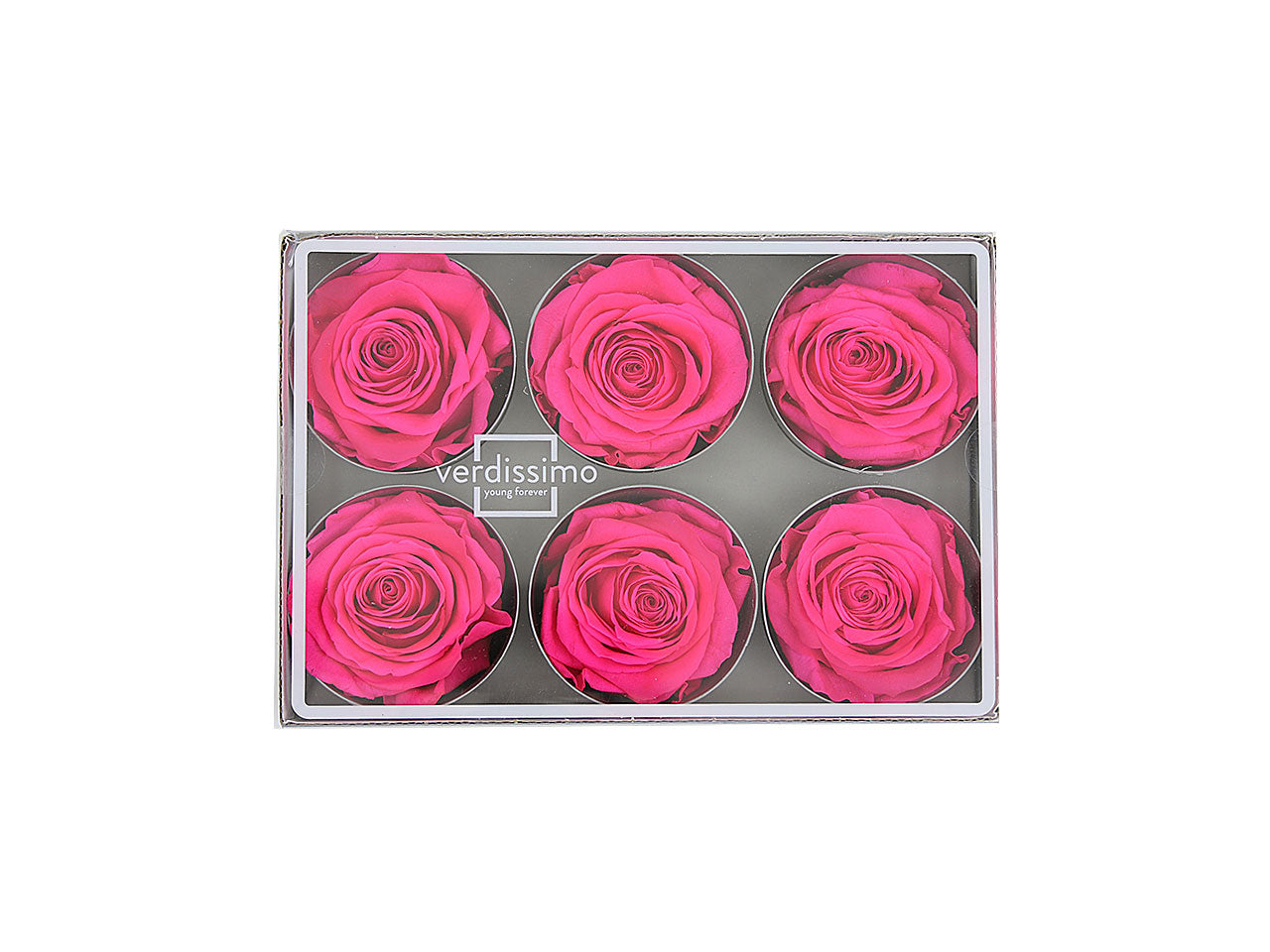 Rosa stabilizzata rosa 6 pezzi rst/2430