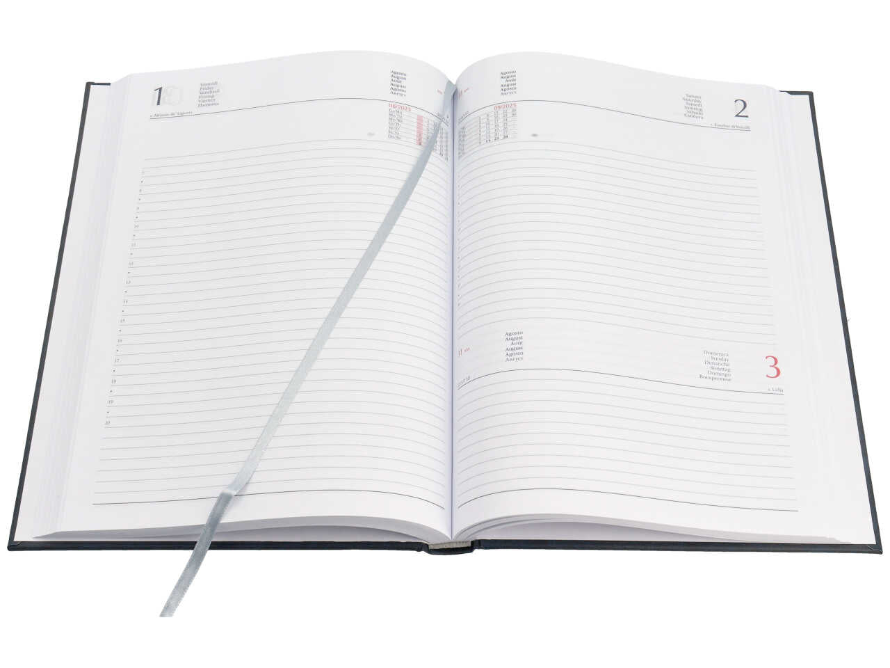 Agenda giornaliera 2025 blu con copertina imbottita, festivitÃ  e fine settimana segnalati, 17x24 cm - Gruppo Buffetti