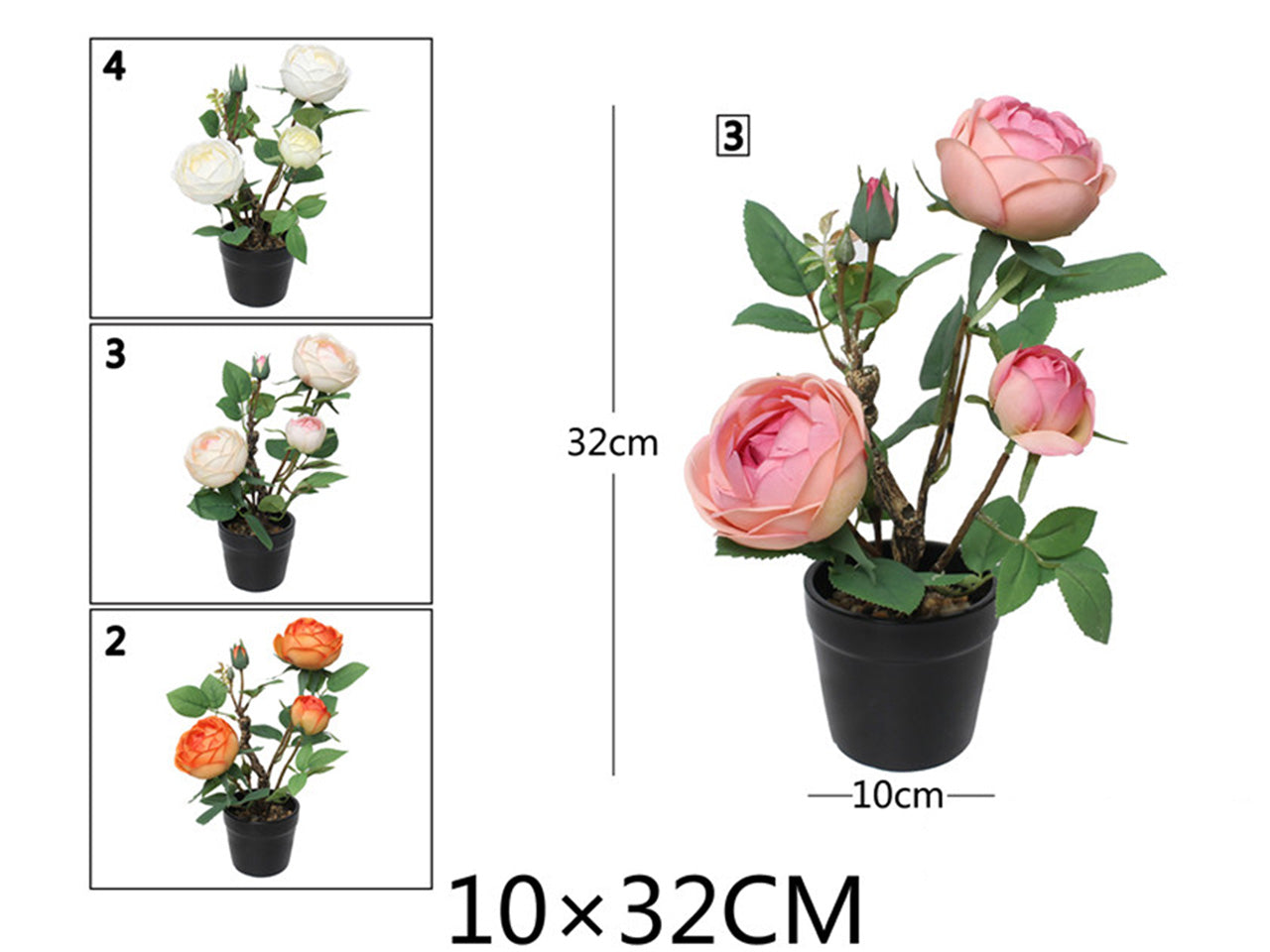 Pianta peonia 10x32cm