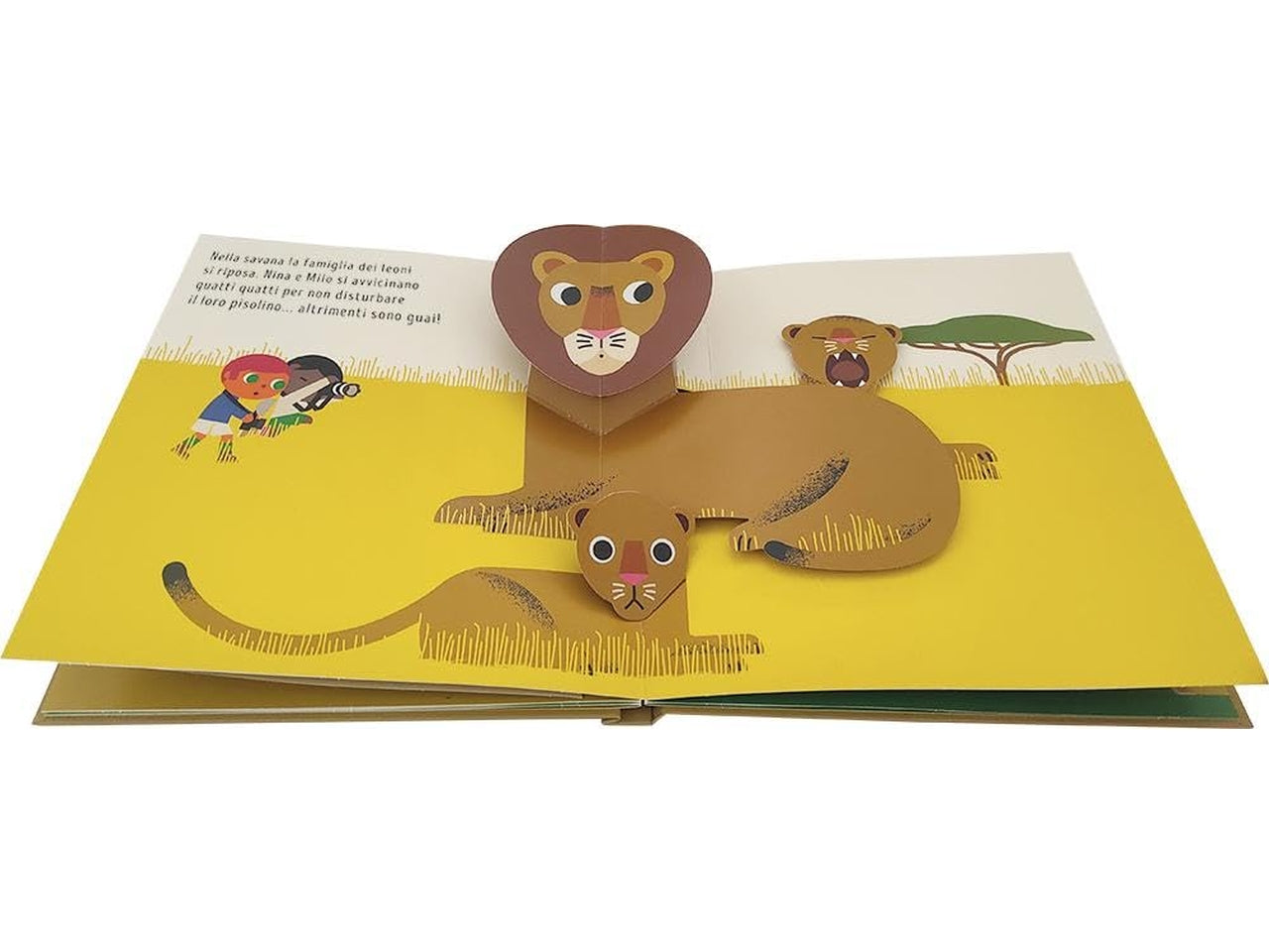 Libro animali selvaggi