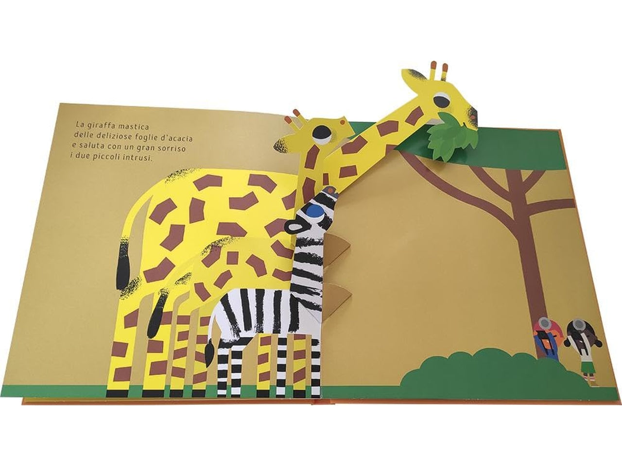 Libro animali selvaggi