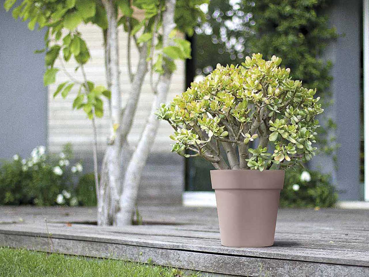 Vaso arke' 26cm cipria 3926cp