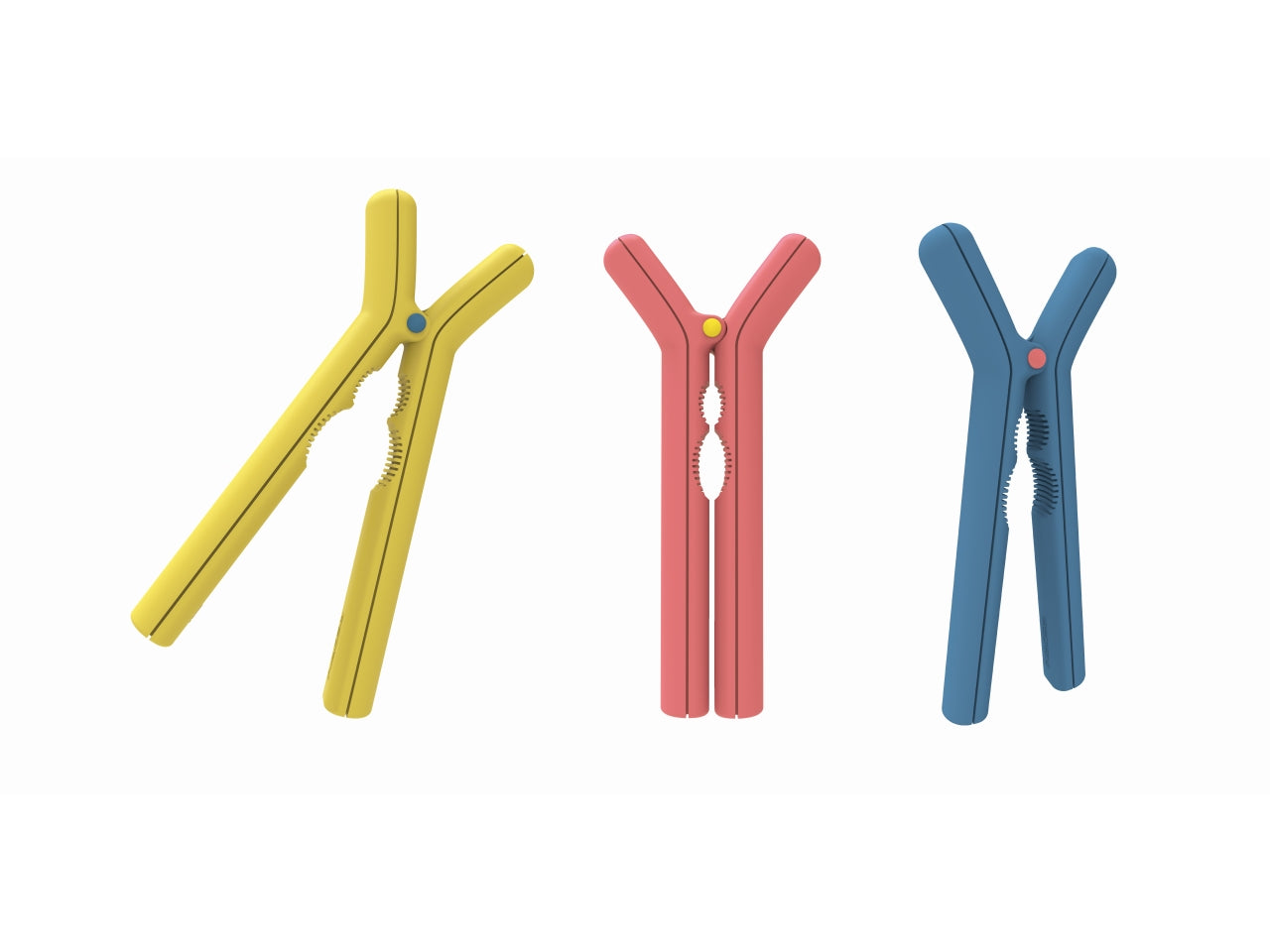 Rompinoci y, colori assortiti