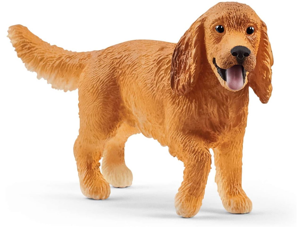 Cocker spaniel inglese