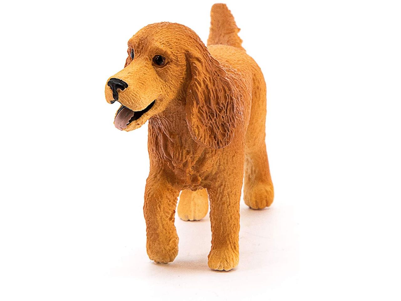 Cocker spaniel inglese