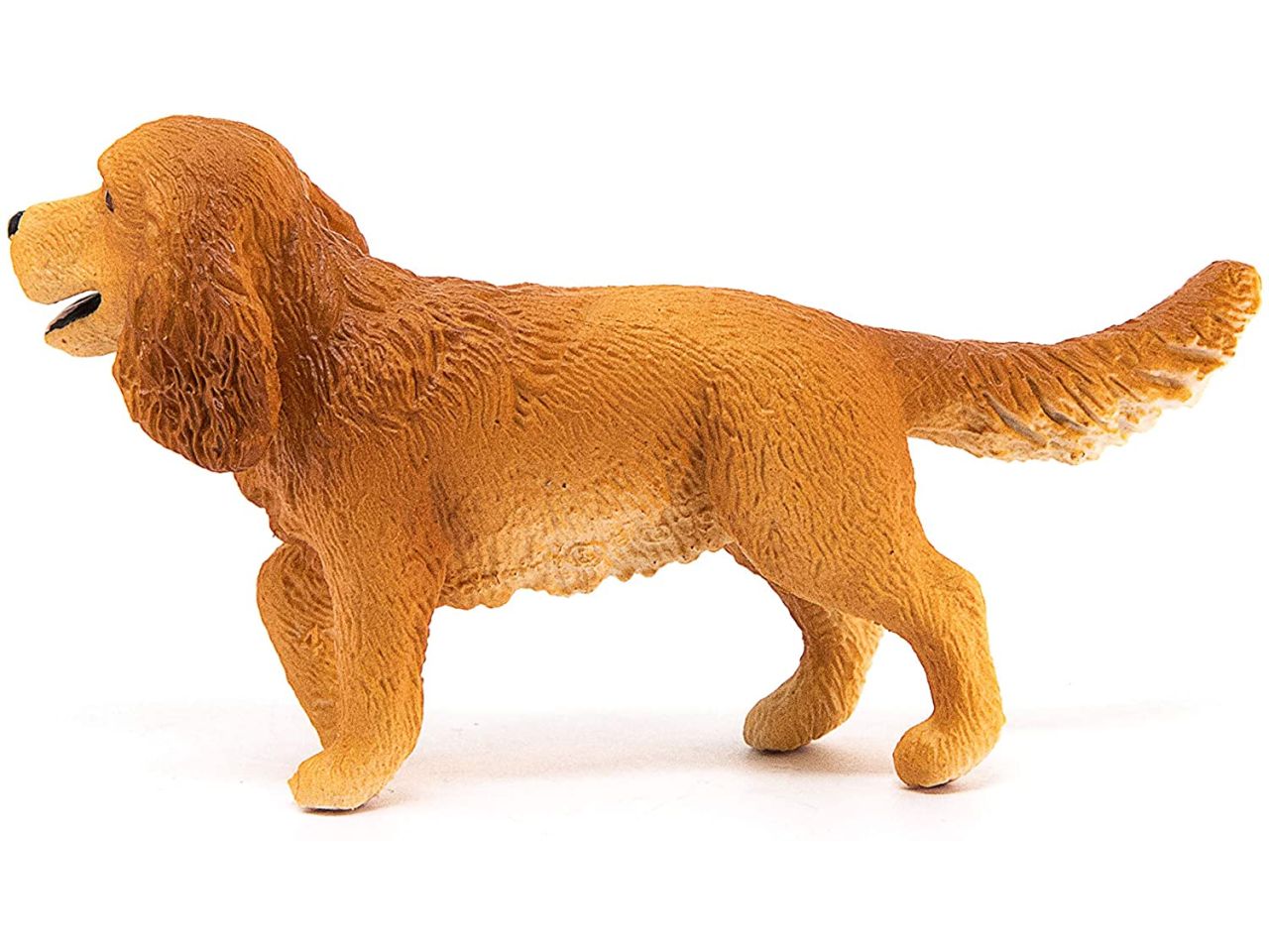 Cocker spaniel inglese