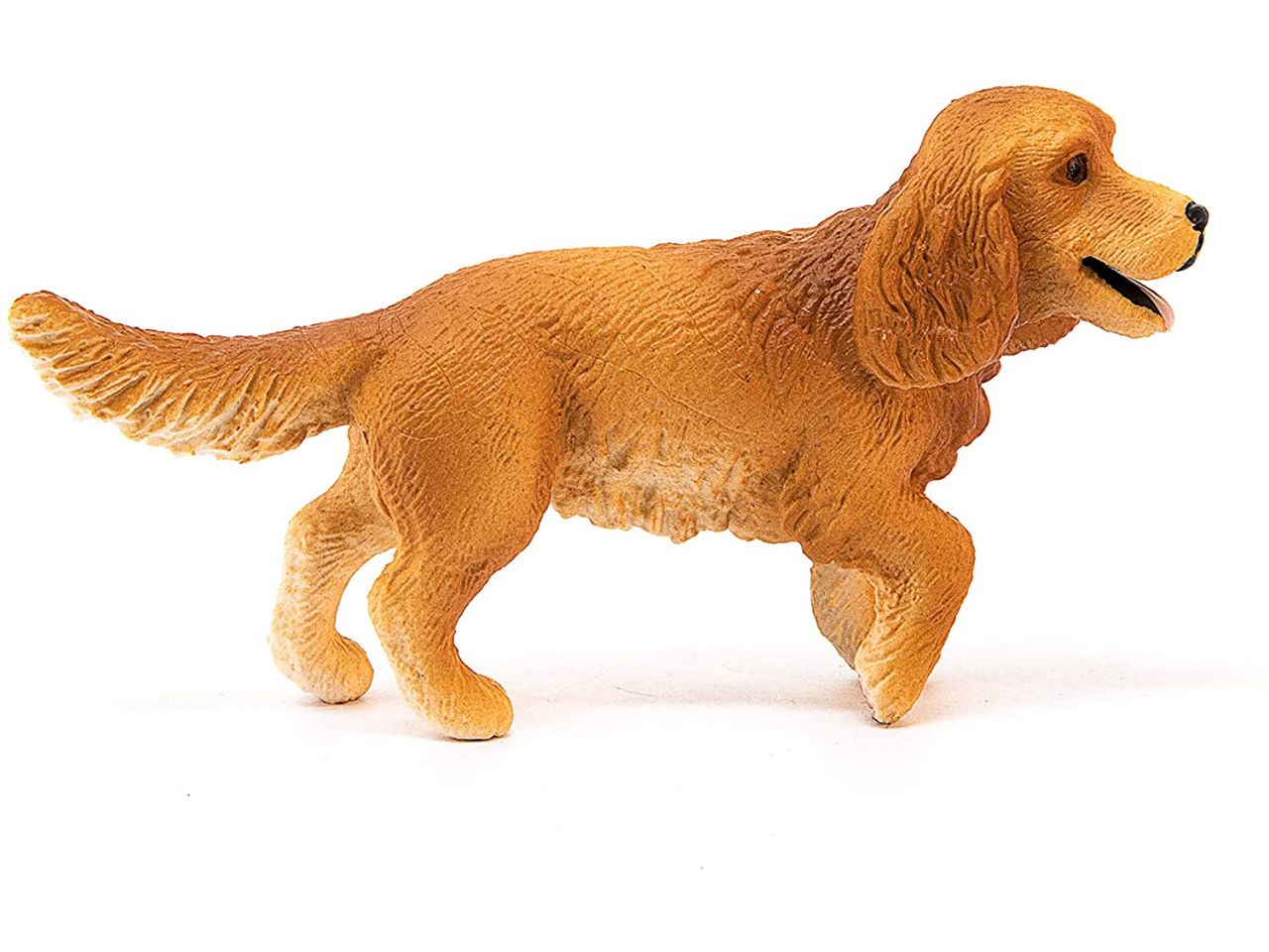 Cocker spaniel inglese