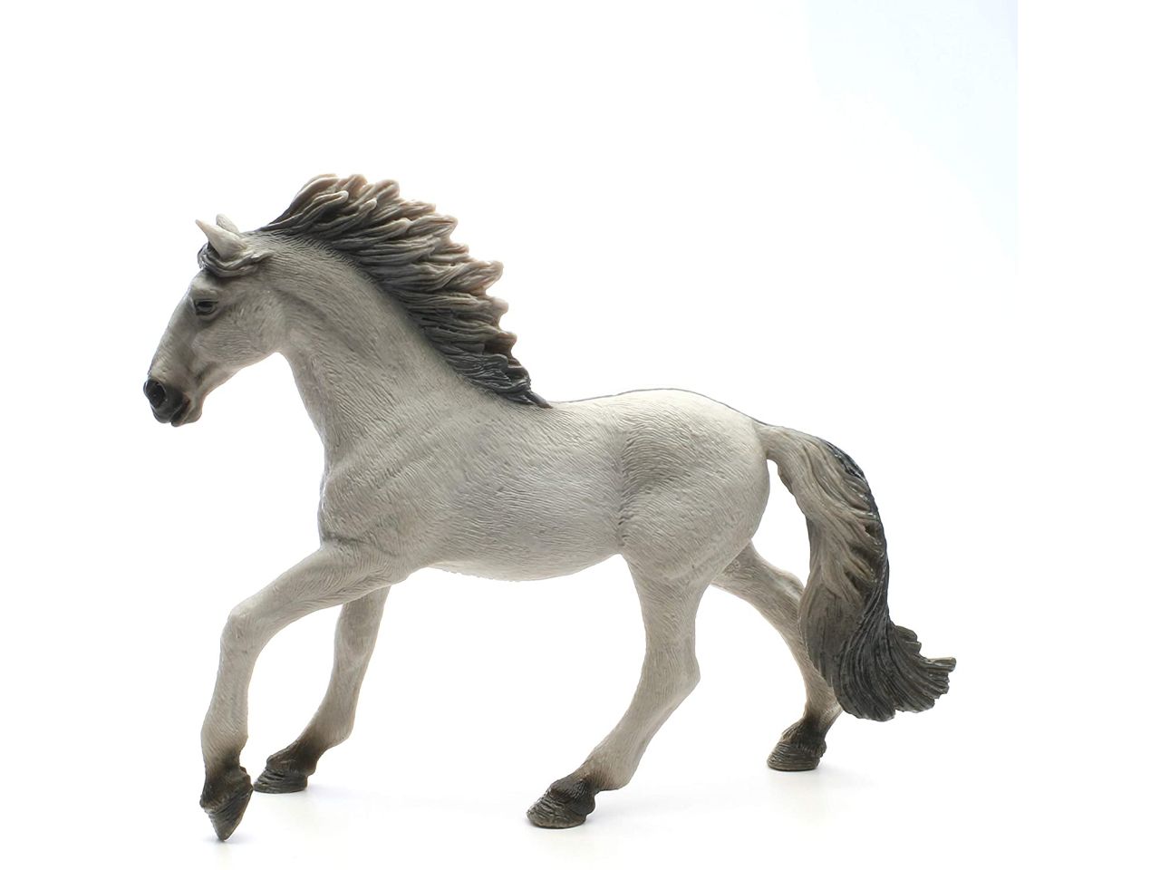 Stallone sorraia mustang