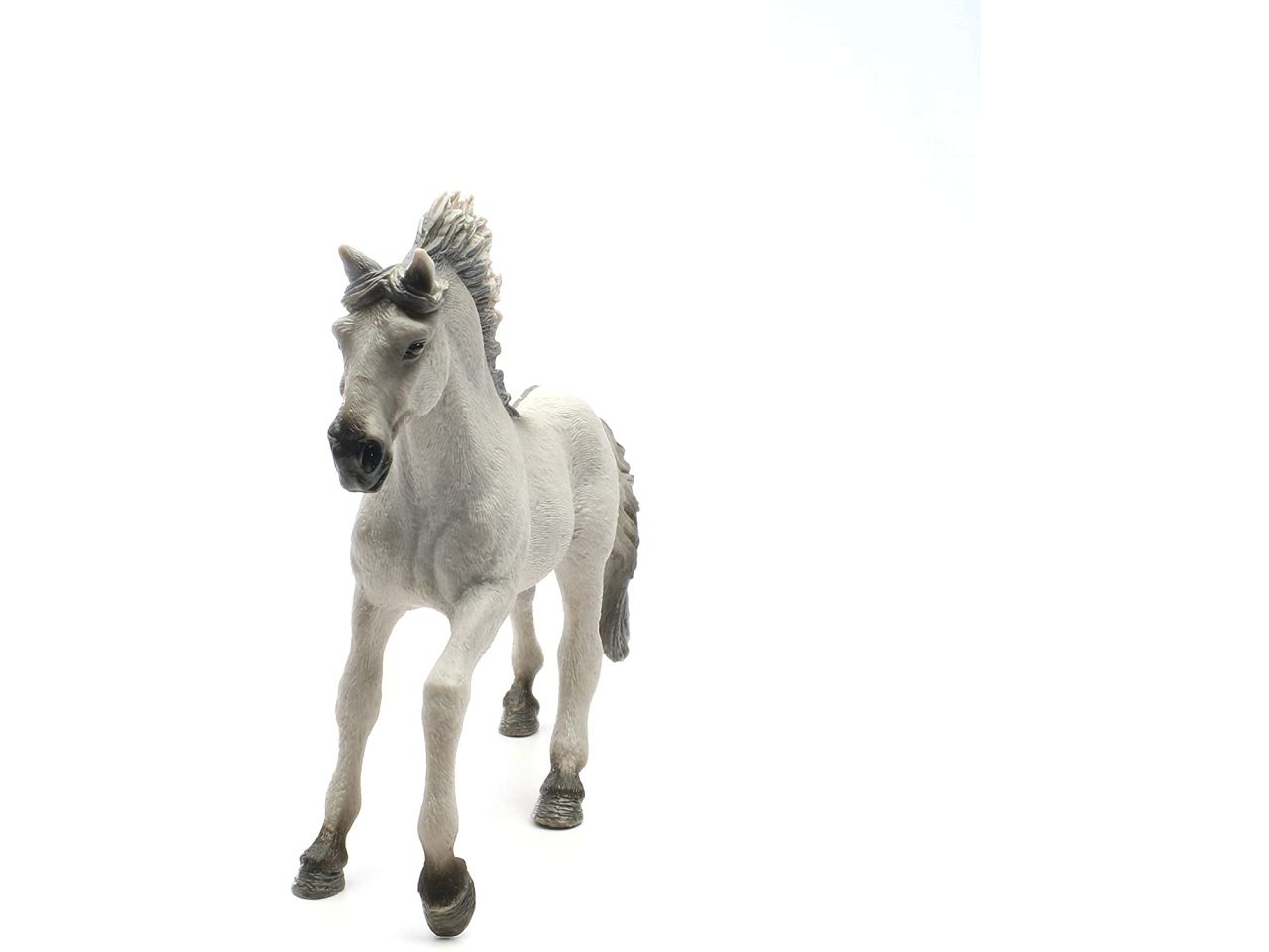 Stallone sorraia mustang