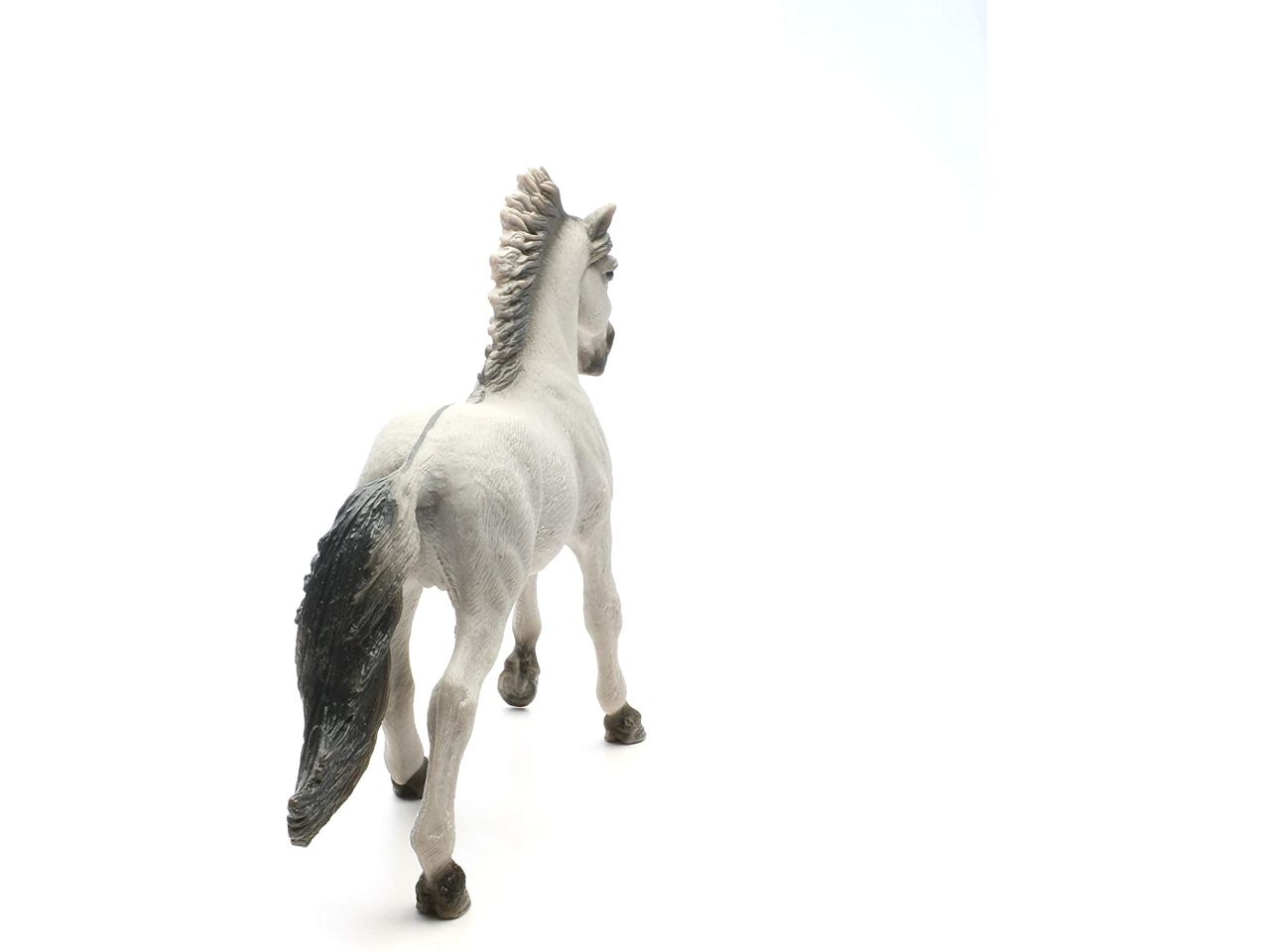 Stallone sorraia mustang