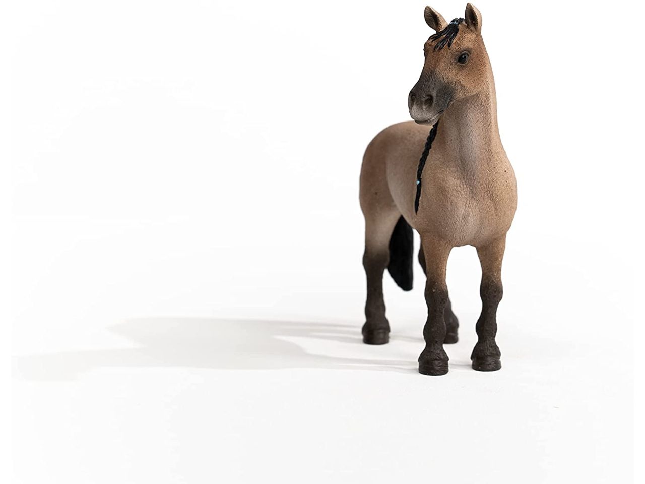 Giumenta criollo definitivo