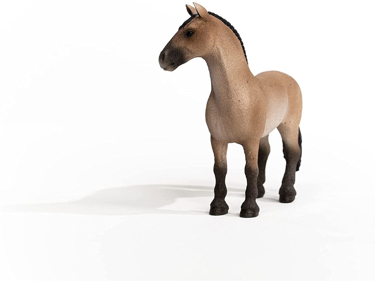 Giumenta criollo definitivo