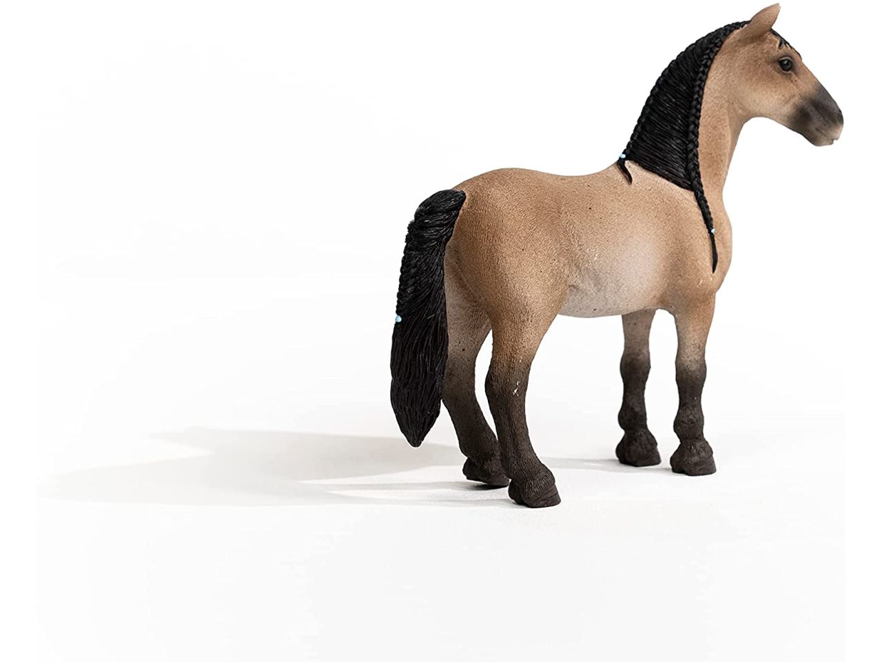 Giumenta criollo definitivo