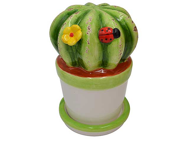 Pianta fico d'india h10cmchiara cta-06a