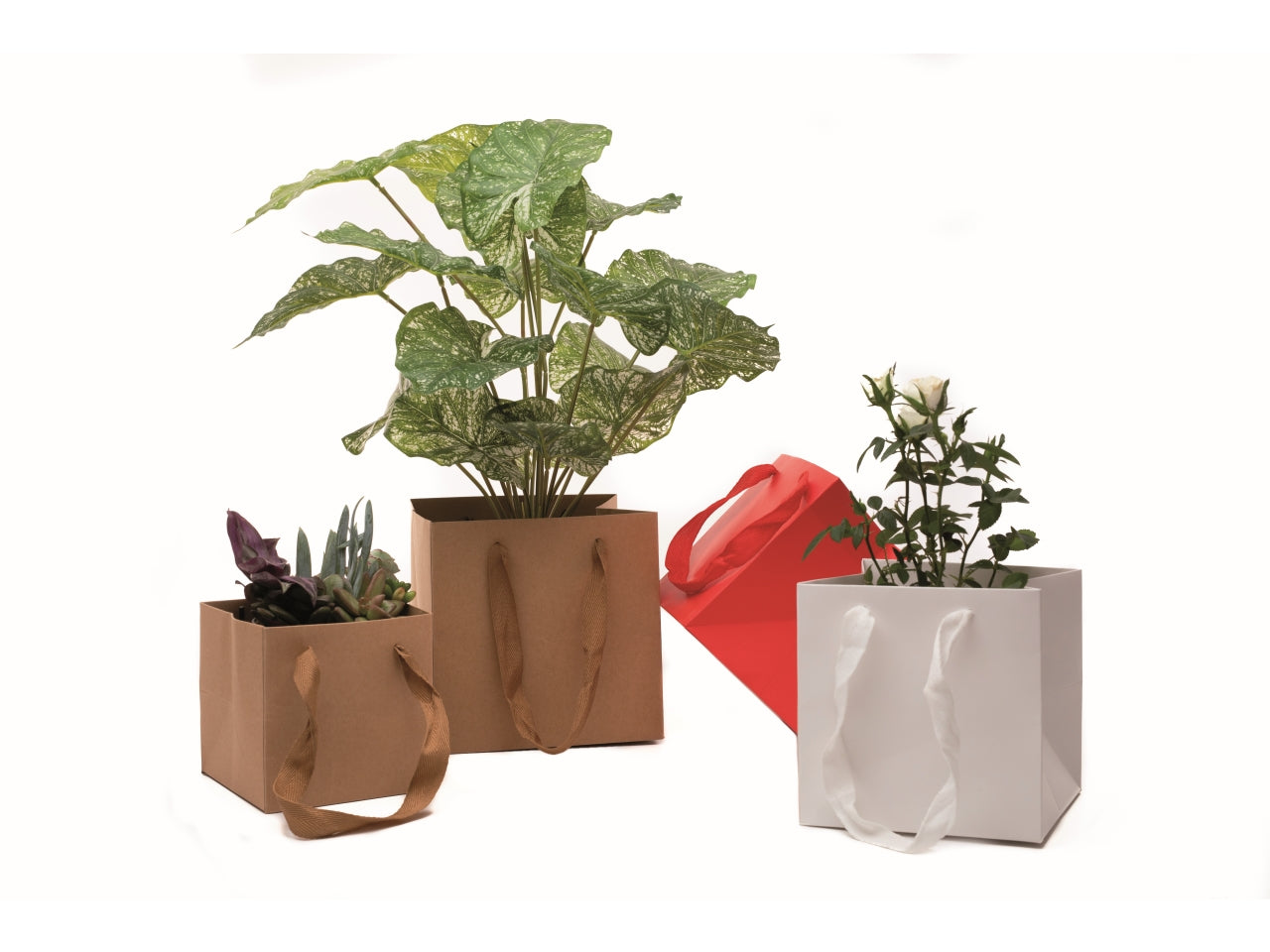 Shopper cube in carta kraft 220gr. 15x15x15cm